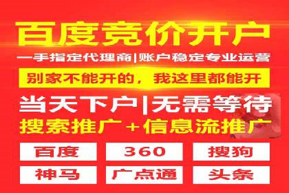 百度竞价代理优化策略：案例分享与借鉴