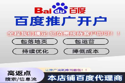 百度SEO推广公司服务效果评估：多案例对比分析